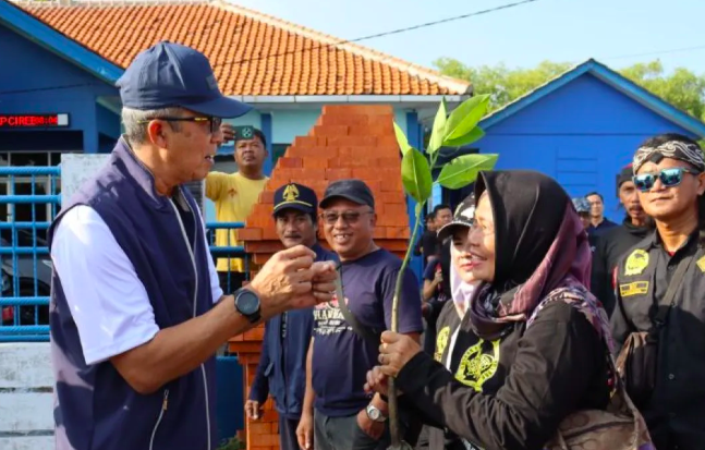 Gandeng Komunitas, Pemkot Cirebon Tanam 10 Ribu Bibit Mangrove