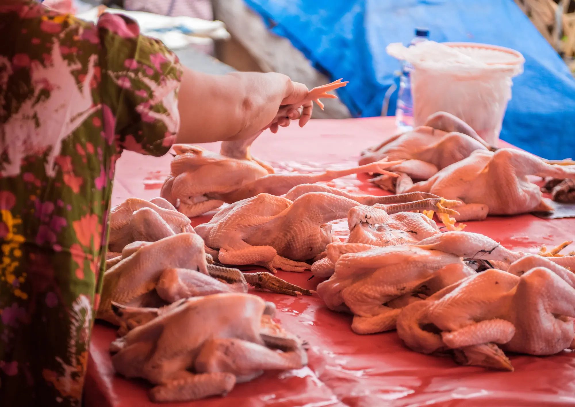 Harga Ayam di Cirebon Naik Jadi Rp40.800 per Kilogram